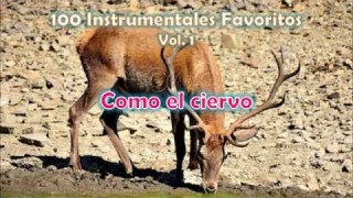 100 Instrumentales Favoritos vol. 1 – 056 Como el ciervo