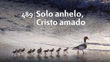 Himno 489 | Solo anhelo, Cristo amado | Himnario Adventista