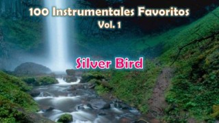 100 Instrumentales Favoritos vol 1 – 062 Silver Bird
