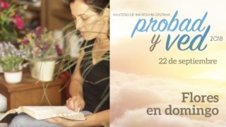 22 de septiembre | Flores en Domingo | Probad y Ved 2018 | Iglesia Adventista