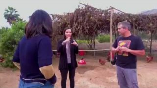 Protección Animal 2 | Tiempo Real | Nuevo Tiempo