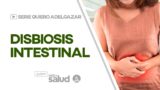 Disbiosis intestinal | Serie: Quiero adelgazar